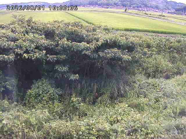 朝鍋川１2026/08/01 22:00:00