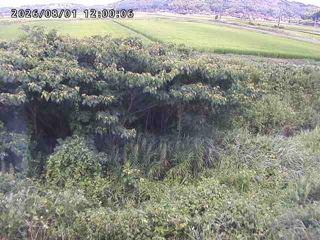 朝鍋川１2026/08/01 22:00:00