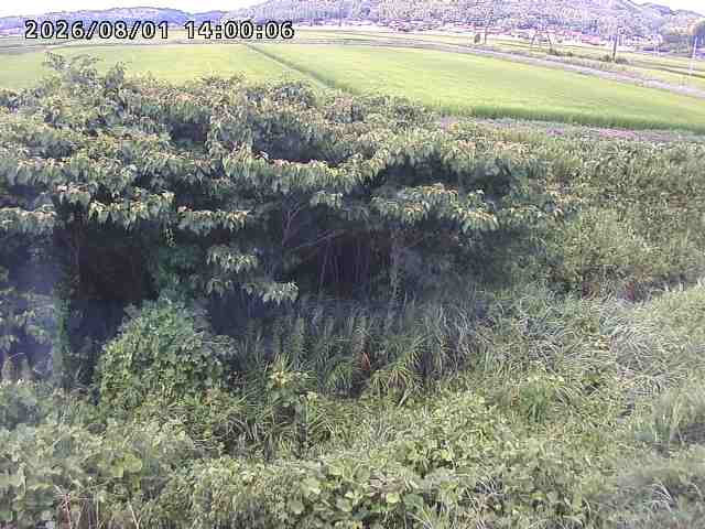 朝鍋川１2026/08/01 22:00:00