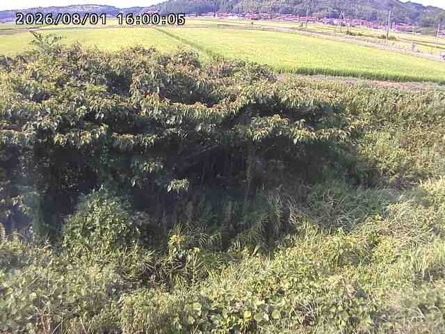 朝鍋川１2026/08/01 22:00:00