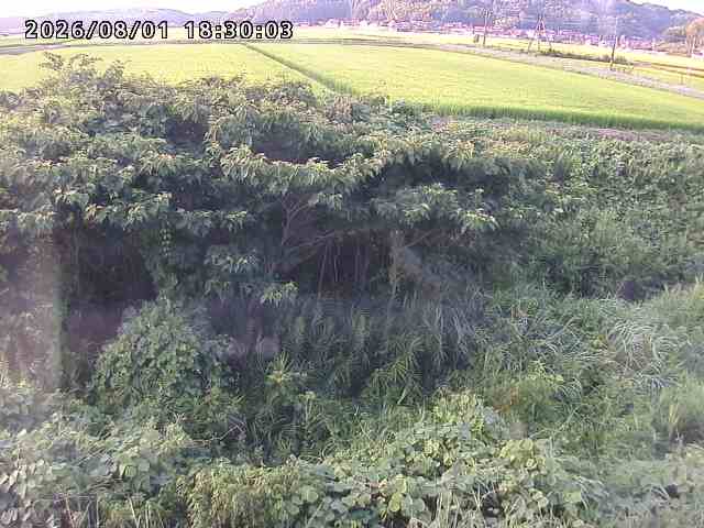 朝鍋川１2026/08/01 22:00:00