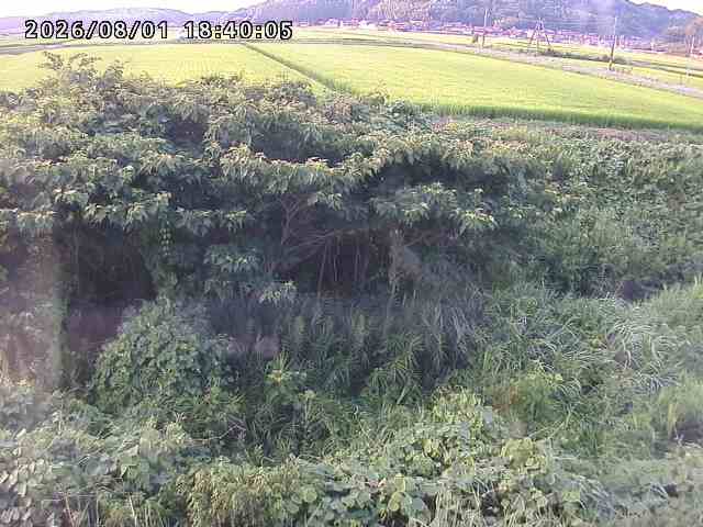 朝鍋川１2026/08/01 22:00:00
