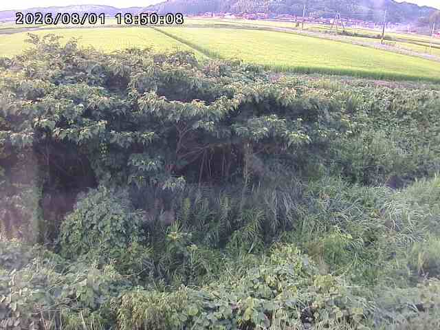 朝鍋川１2026/08/01 22:00:00