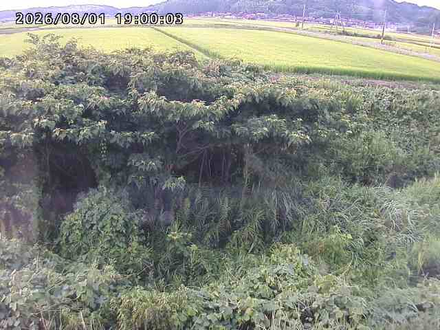 朝鍋川１2026/08/01 22:00:00