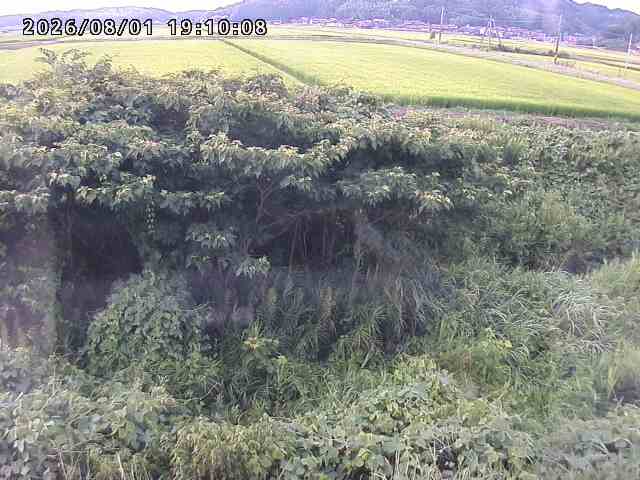 朝鍋川１2026/08/01 22:00:00