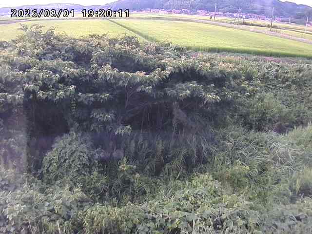 朝鍋川１2026/08/01 22:00:00