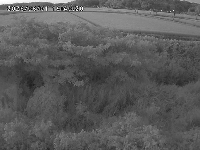 朝鍋川１2026/08/01 22:00:00