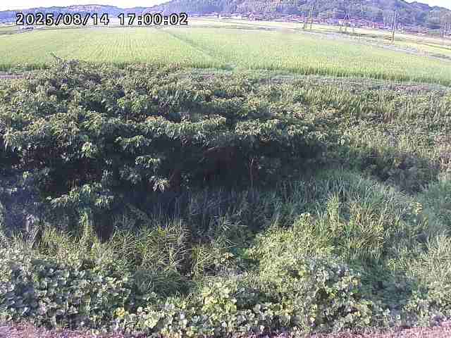 朝鍋川１2025/08/15 15:50:00