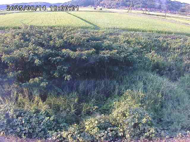 朝鍋川１2025/08/15 15:50:00