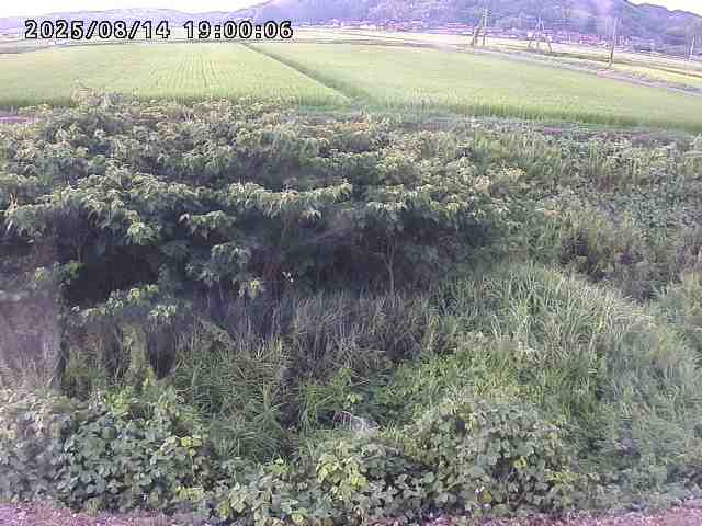 朝鍋川１2025/08/15 15:50:00