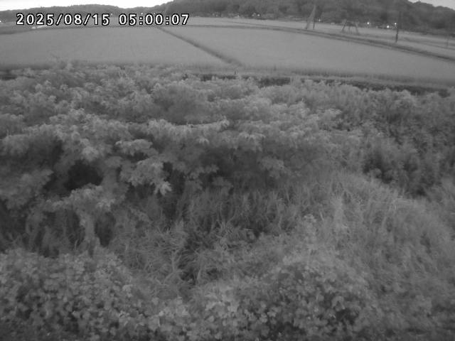 朝鍋川１2025/08/15 15:50:00
