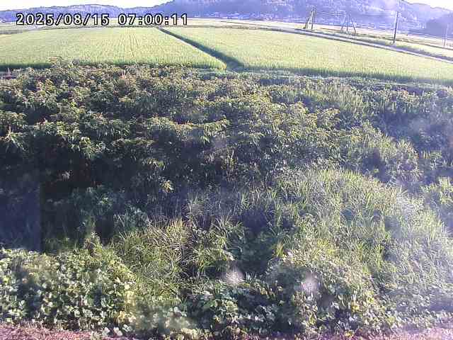 朝鍋川１2025/08/15 15:50:00