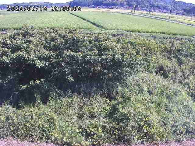 朝鍋川１2025/08/15 15:50:00