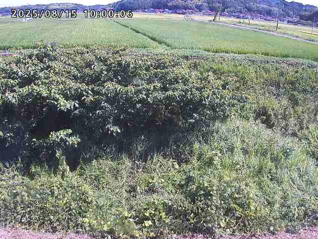 朝鍋川１2025/08/15 15:50:00