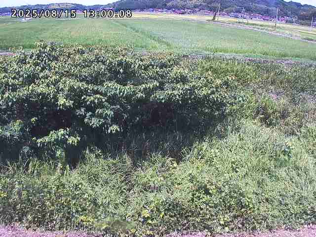 朝鍋川１2025/08/15 15:50:00