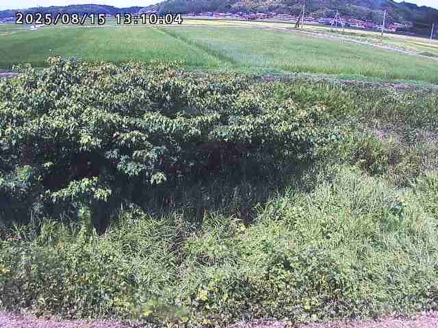 朝鍋川１2025/08/15 15:50:00
