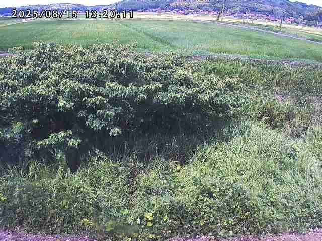 朝鍋川１2025/08/15 15:50:00
