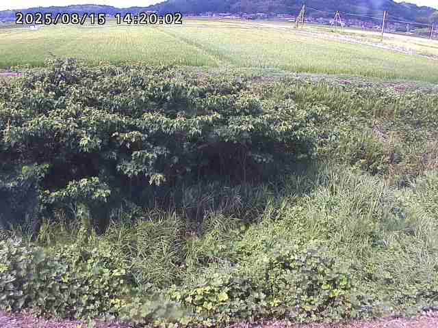 朝鍋川１2025/08/15 15:50:00