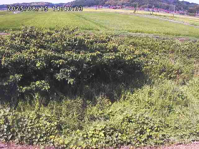 朝鍋川１2025/08/15 15:50:00