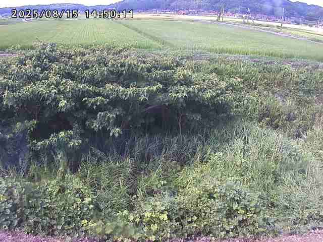 朝鍋川１2025/08/15 15:50:00