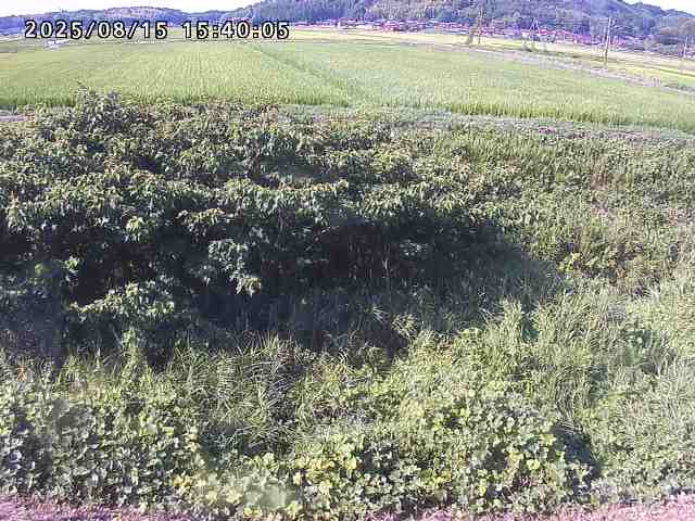 朝鍋川１2025/08/15 15:50:00