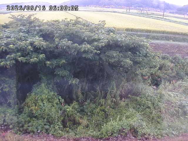 朝鍋川１2026/09/16 18:00:00