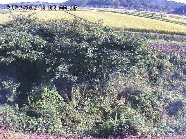 朝鍋川１2026/09/16 18:00:00