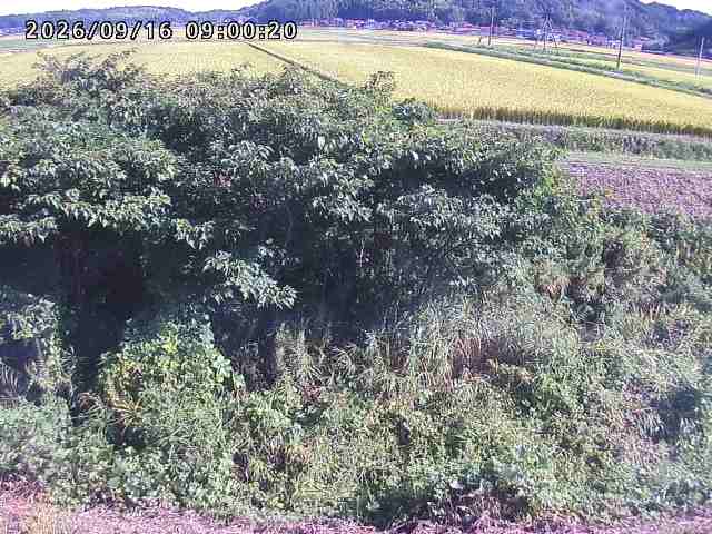 朝鍋川１2026/09/16 18:00:00