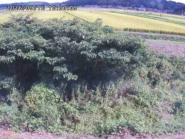 朝鍋川１2026/09/16 18:00:00