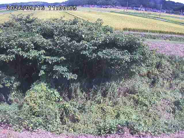 朝鍋川１2026/09/16 18:00:00