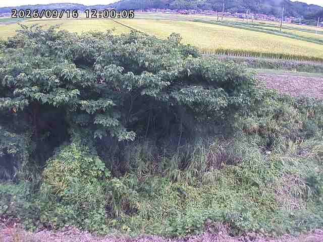 朝鍋川１2026/09/16 18:00:00