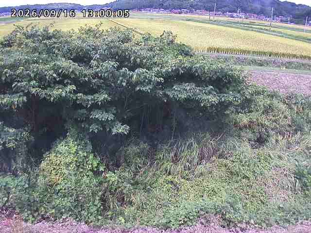 朝鍋川１2026/09/16 18:00:00