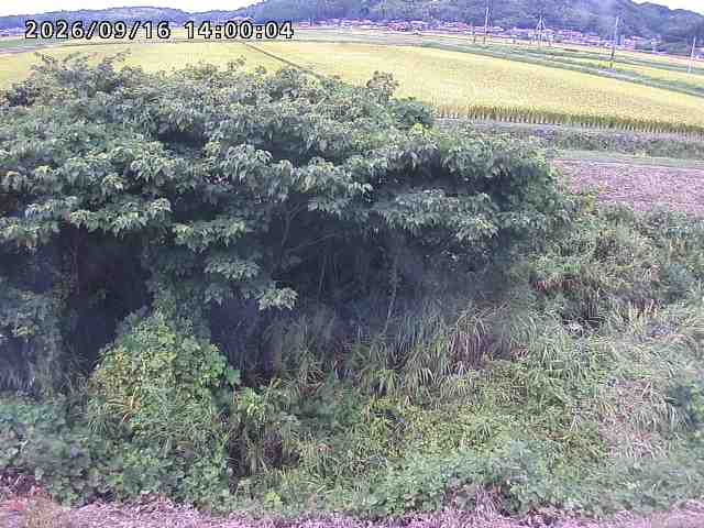 朝鍋川１2026/09/16 18:00:00