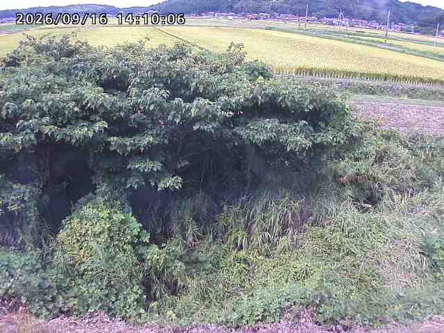 朝鍋川１2026/09/16 18:00:00