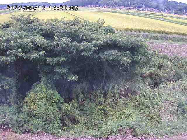 朝鍋川１2026/09/16 18:00:00