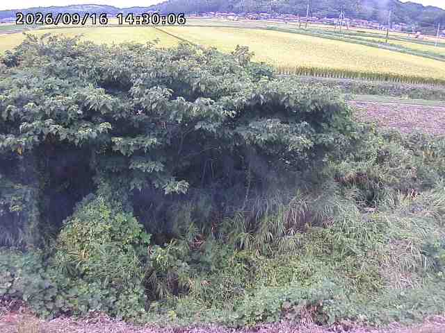 朝鍋川１2026/09/16 18:00:00