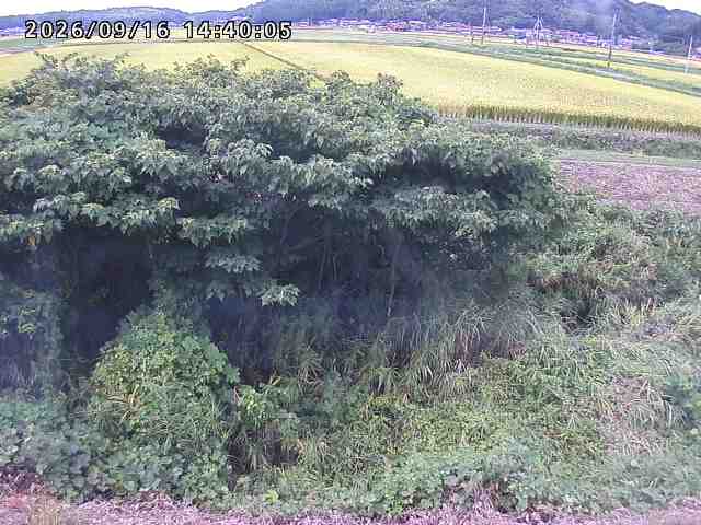 朝鍋川１2026/09/16 18:00:00