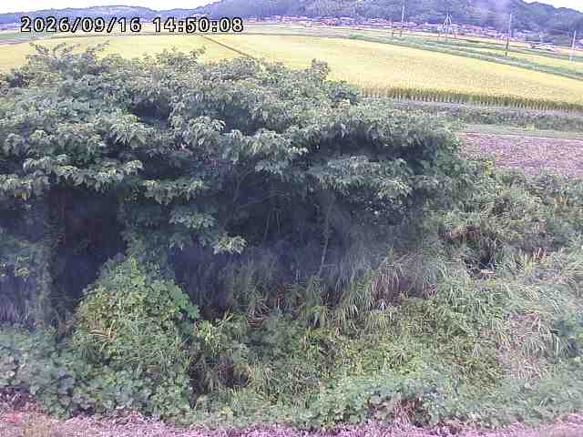 朝鍋川１2026/09/16 18:00:00