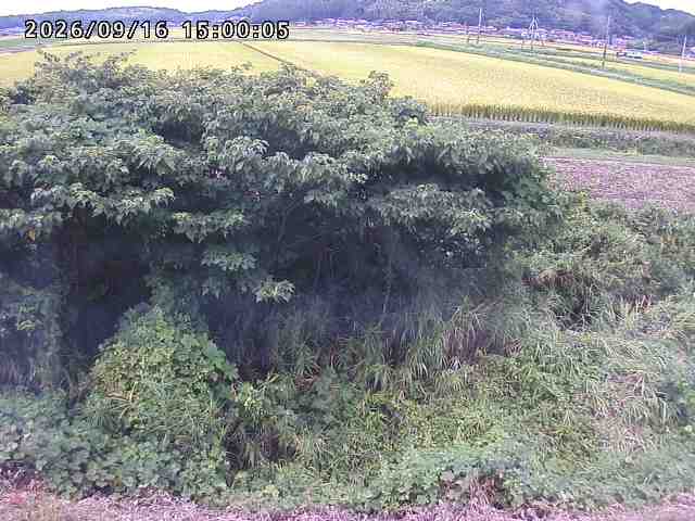 朝鍋川１2026/09/16 18:00:00