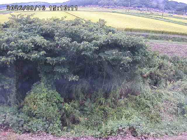 朝鍋川１2026/09/16 18:00:00