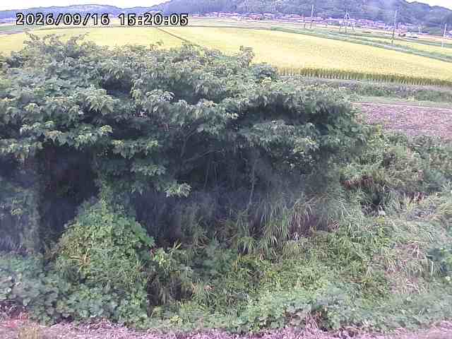 朝鍋川１2026/09/16 18:00:00
