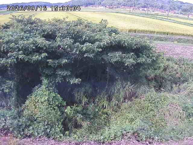 朝鍋川１2026/09/16 18:00:00