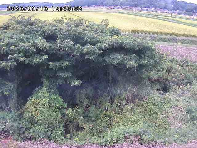 朝鍋川１2026/09/16 18:00:00