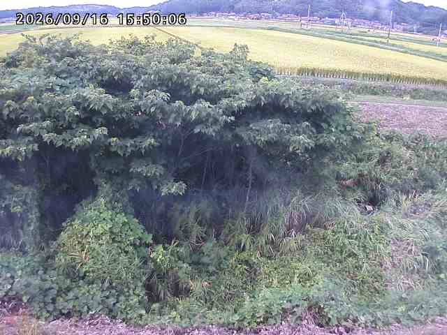 朝鍋川１2026/09/16 18:00:00