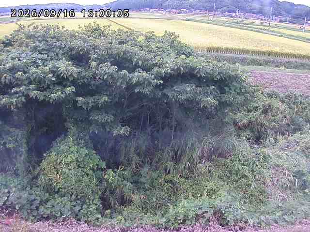 朝鍋川１2026/09/16 18:00:00
