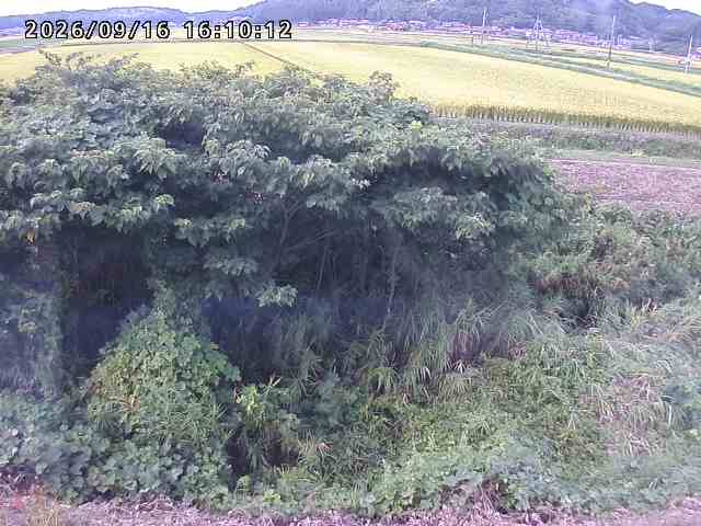 朝鍋川１2026/09/16 18:00:00