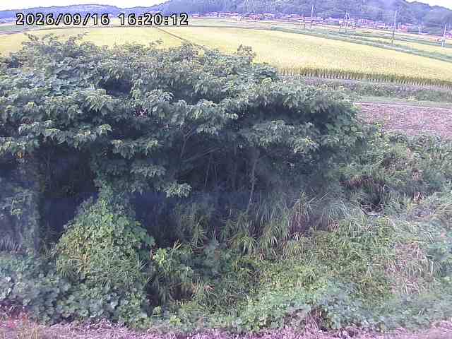 朝鍋川１2026/09/16 18:00:00