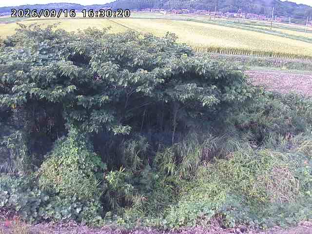 朝鍋川１2026/09/16 18:00:00