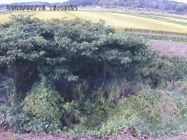 朝鍋川１2026/09/16 18:00:00