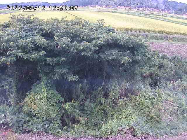朝鍋川１2026/09/16 18:00:00